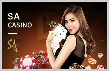 Cài đặt ứng dụng MCW19
